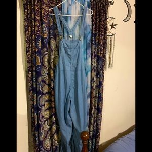 Aerie Railroad Striped Overalls